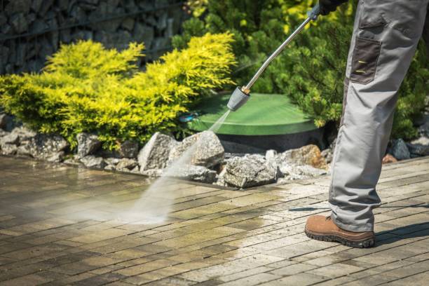 Best Sidewalk and Walkway Cleaning  in Edinboro, PA